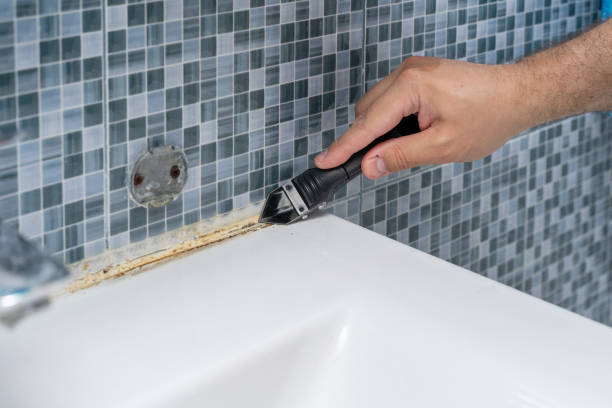 Best Residential Mold Remediation in Angola, IN
